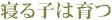 �Q��q�͈��