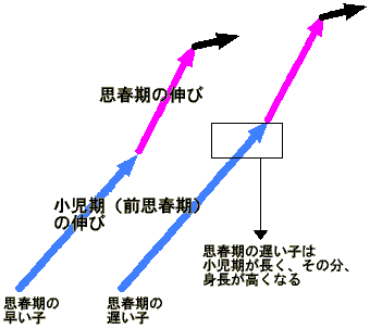 平均身長 声変わり