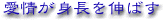 ����g����L�΂�