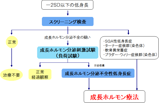 注射 成長 ホルモン