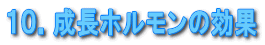 �P�O�D�����z�������̌���