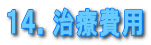 �P�S�D���Ô�p
