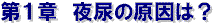 ��P�́@��A�̌����́H